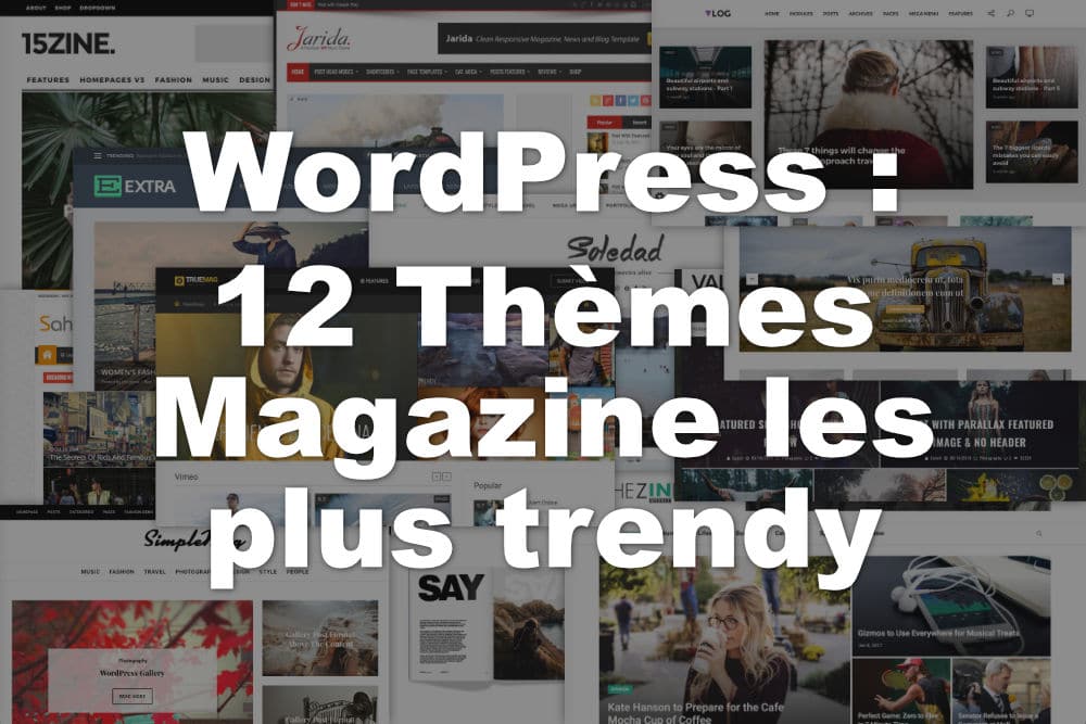 Thèmes magazine WordPress