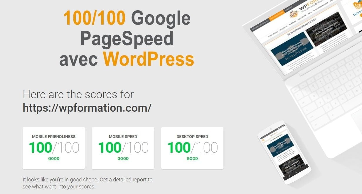 100-google-pagespeed-WordPress