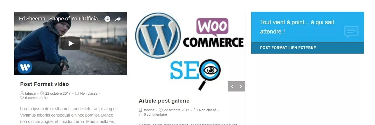 post format exemples WordPress