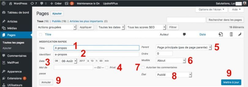 Tout Savoir Sur Les PAGES WordPress : Le Guide Complet