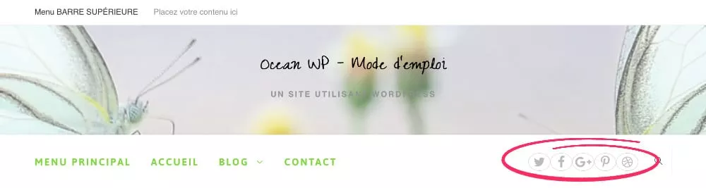 OceanWP icone sociaux
