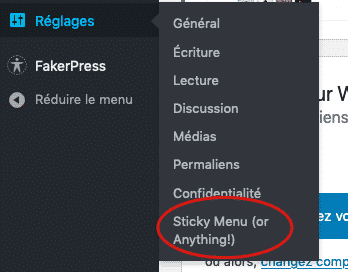 wp_sticky_menu_settings