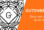 Gutenberg article wp formation vfg