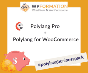Polylang Business Pack - traduire son site wordpress avec polylang WPformation