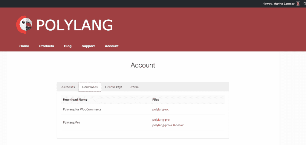 image54 Compte polylang