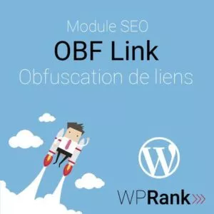 Module Obfuscation Liens WordPress