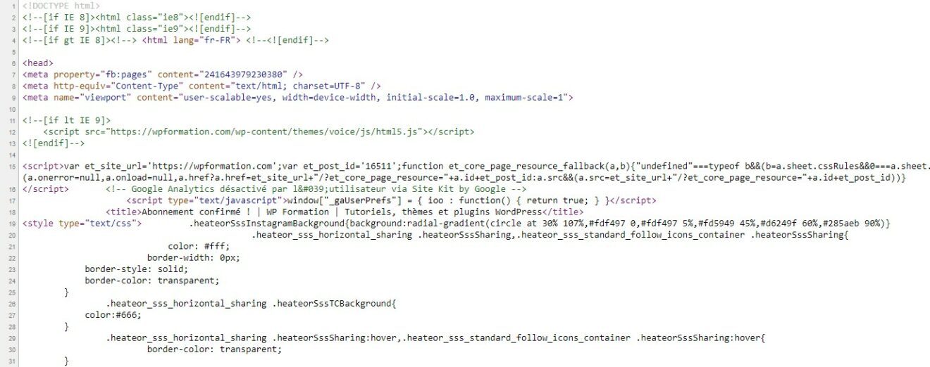 Comment ajouter facilement du code JavaScript dans WordPress