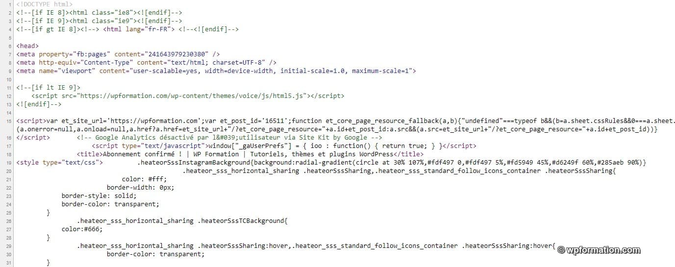 Ajouter Du Code Js Dans WordPress