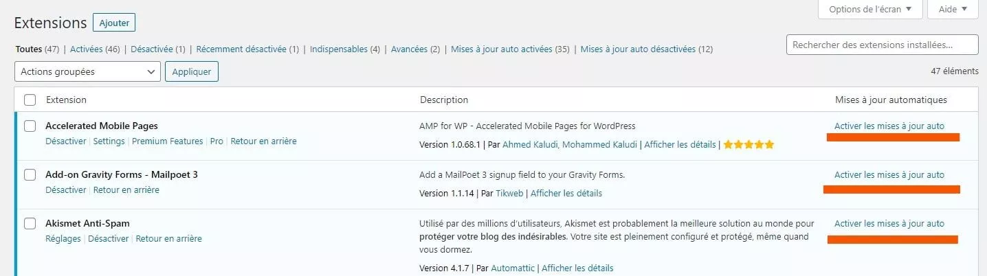 Activer Les Mises A Jour Automatiques Plugins WordPress 5