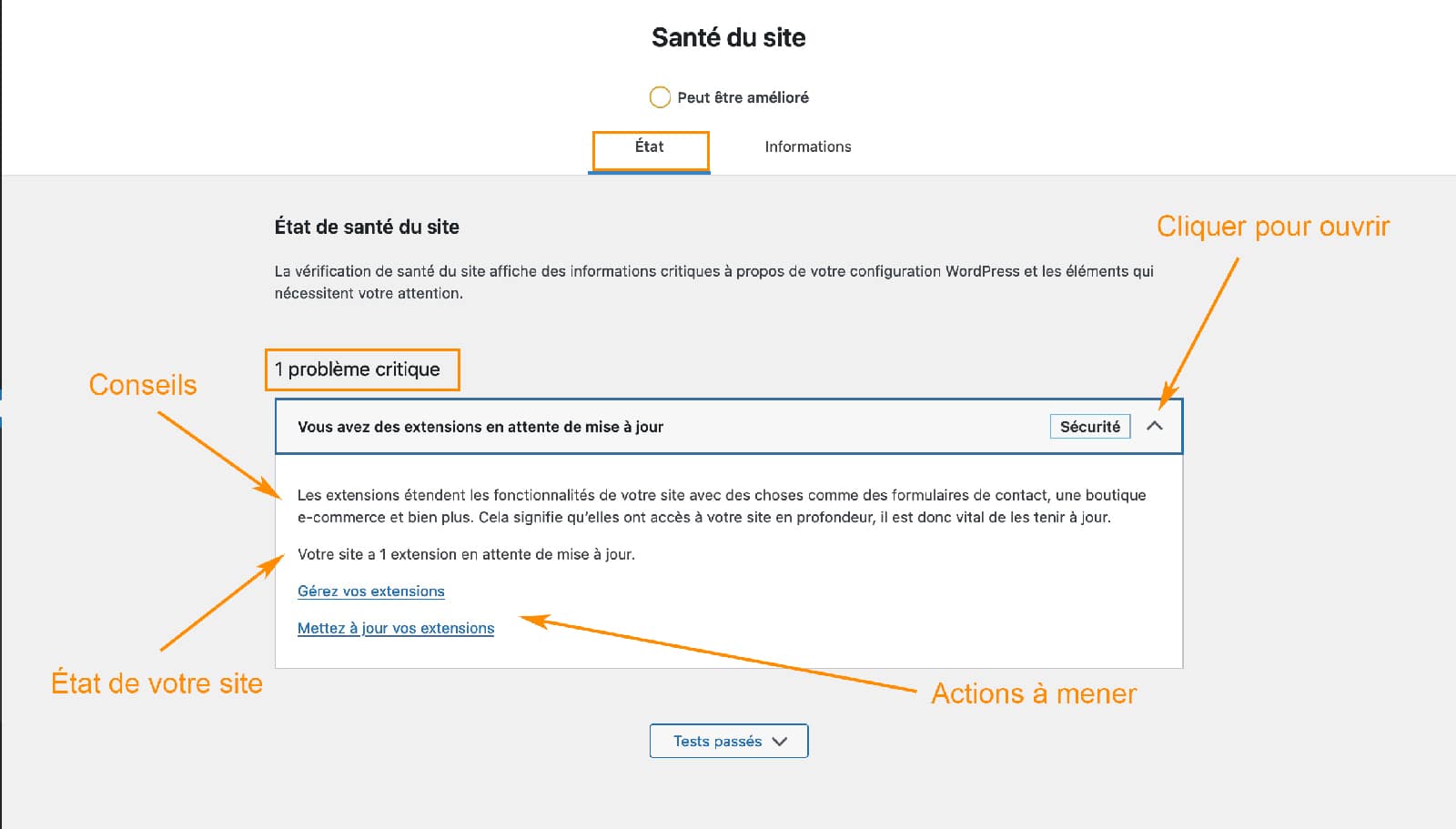 etat sante site wordpress 12 Tutoriel de l'outil Santé du site sur WordPress
