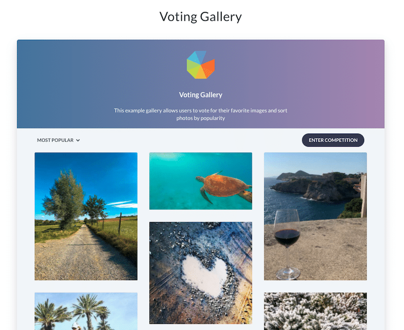 Votez pour la meilleure photo Source Gleam | 6 Plugins WordPress pour votre Prochain Concours en Ligne