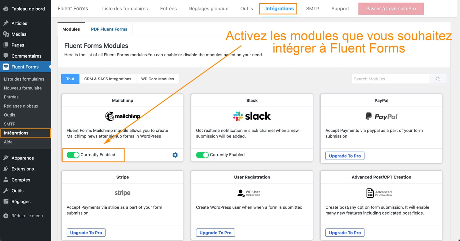 tutoriel fluent forms plugin formulaire wordpress 48 Intégrations au plugin Fluent Forms
