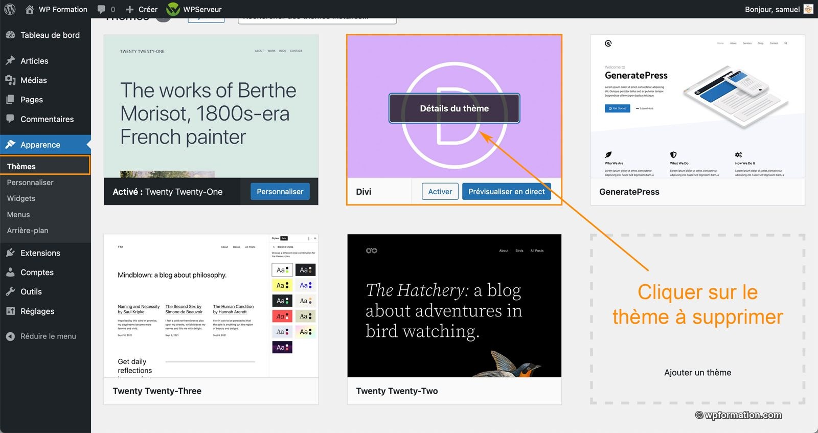 Comment supprimer un thème WordPress facilement