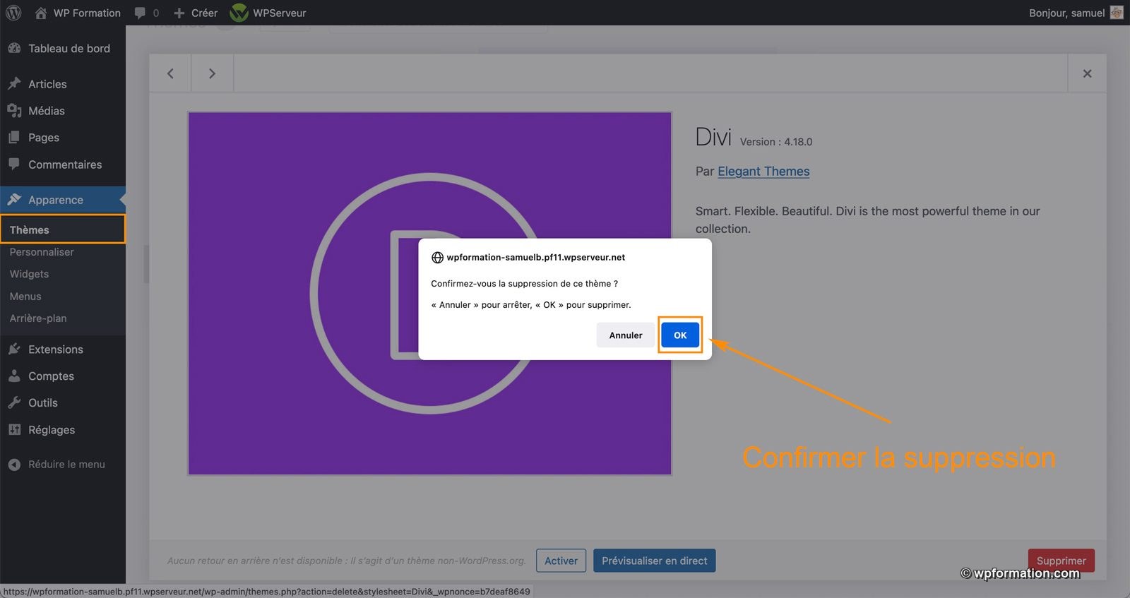 Comment supprimer un thème WordPress facilement